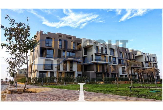 7382310 - صورة العقار 3