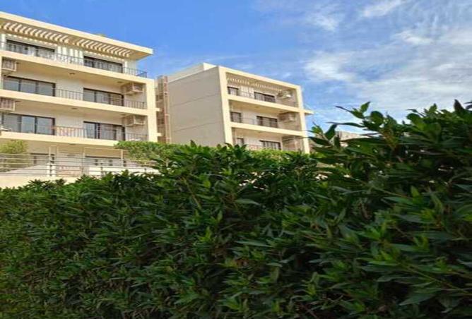 8497538 - صورة العقار 3