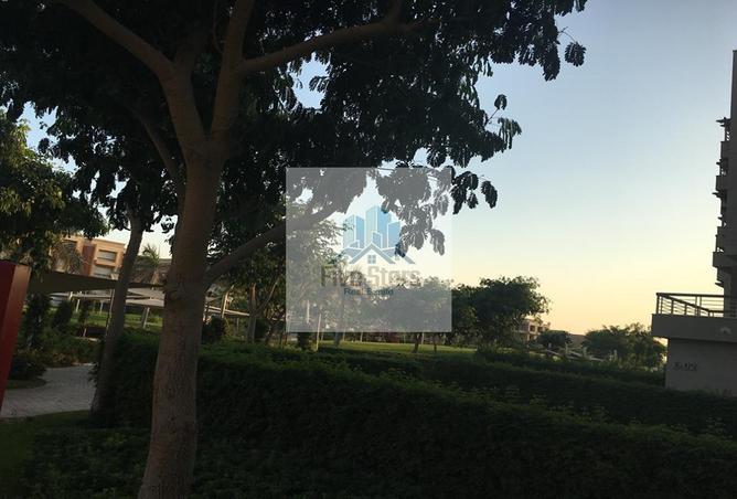 7384886 - صورة العقار 3