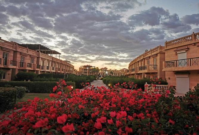 6618839 - صورة العقار 2