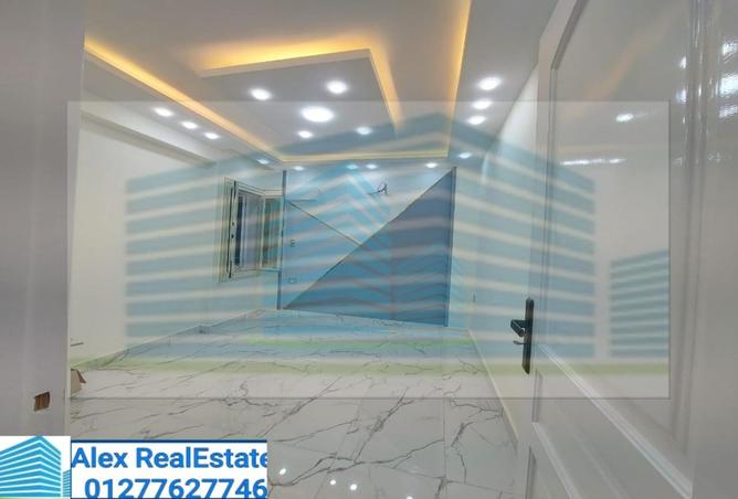 7389523 - Property Image 3