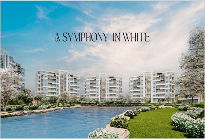 6632315 - صورة العقار 3