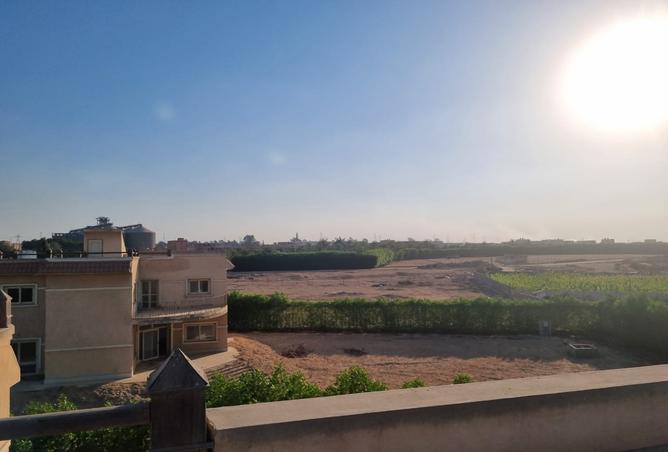 7392244 - Property Image 3