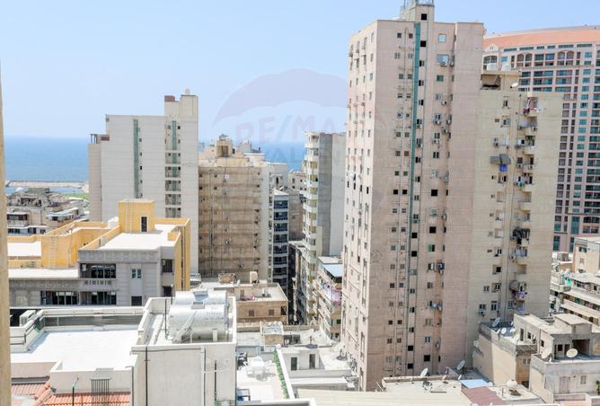 3892186 - Property Image 2