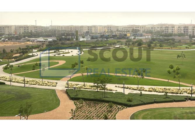 7403533 - صورة العقار 3