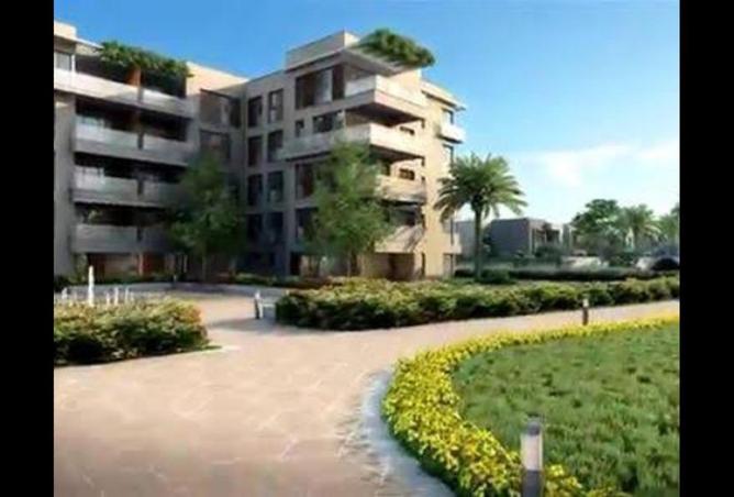 74036343 - Property Image 2