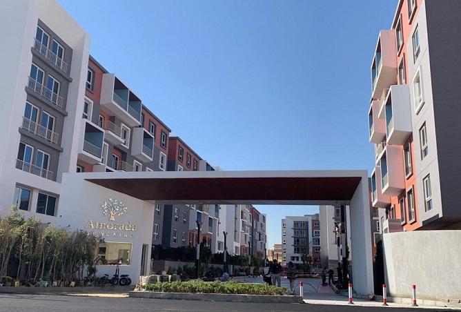 7255026 - صورة العقار 3