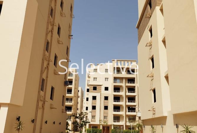 8002571 - Property Image 3