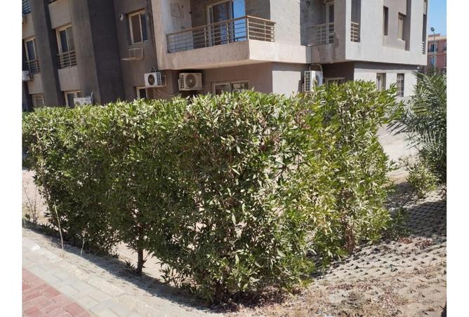 7402693 - الصورة الرئيسية للعقار