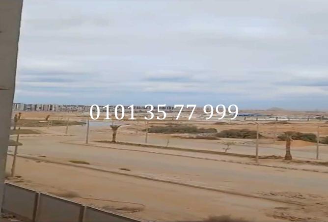 81311729 - صورة العقار 3