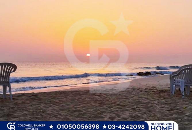 7403846 - صورة العقار 3