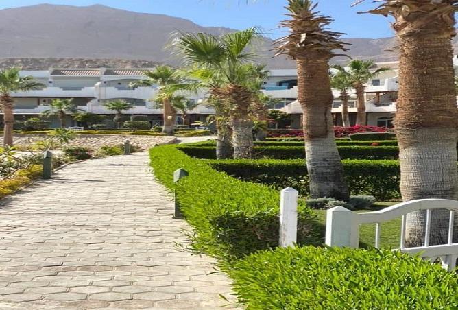 7405358 - صورة العقار 3