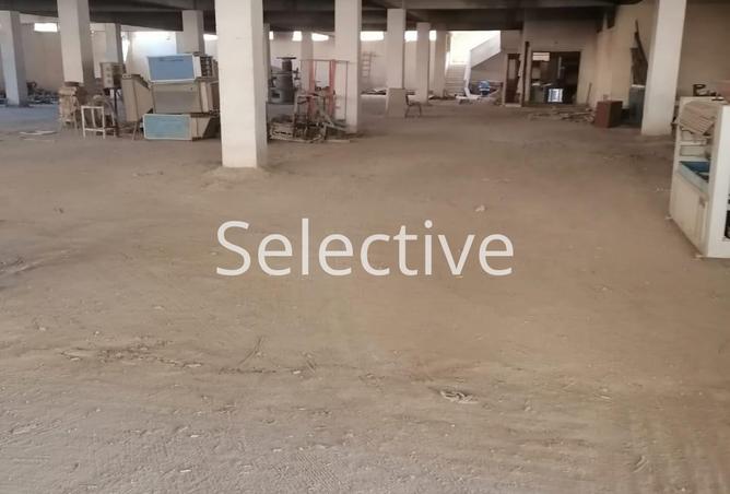 8190060 - صورة العقار 2