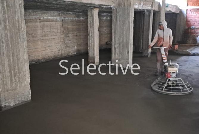 8393979 - صورة العقار 3