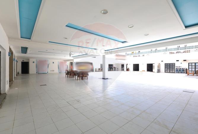 4377501 - صورة العقار 3