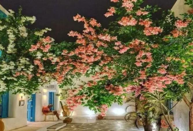 7409665 - صورة العقار 2