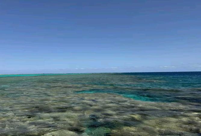 7410739 - Property Image 3