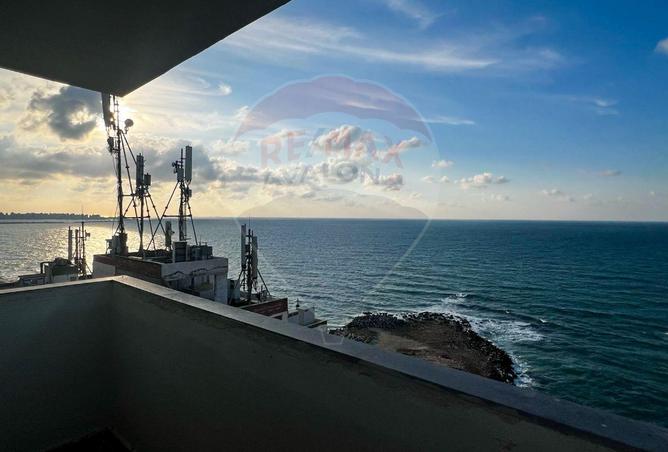 7411184 - صورة العقار 2