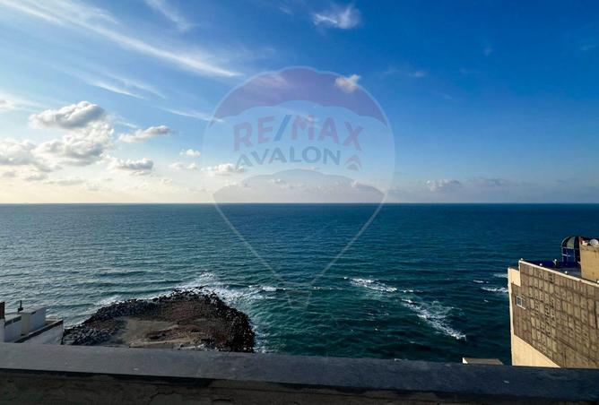 7411184 - الصورة الرئيسية للعقار