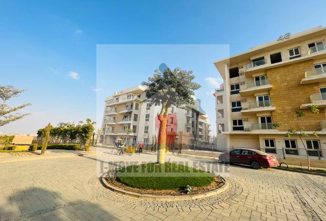 8238095 - صورة العقار 2