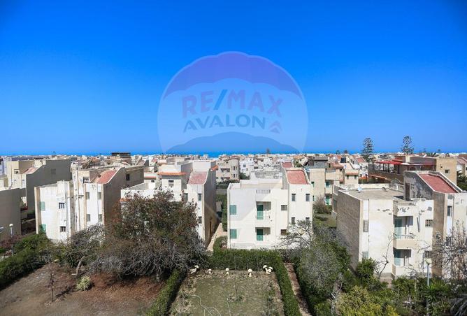 6983729 - صورة العقار 2