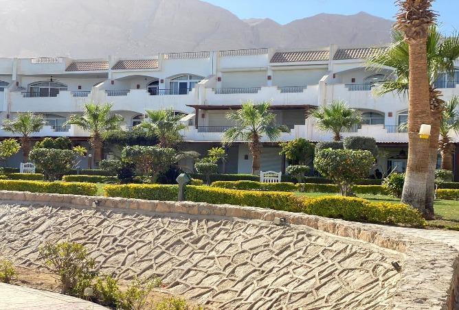 7414802 - صورة العقار 3