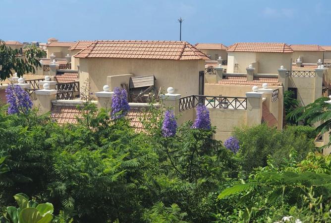 6154076 - صورة العقار 2