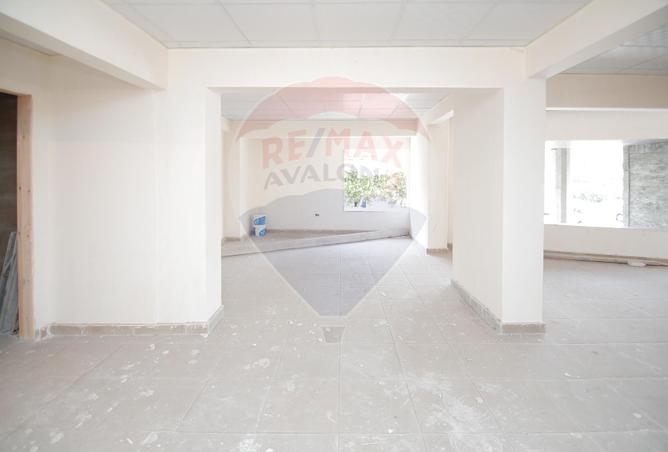 3969651 - صورة العقار 2