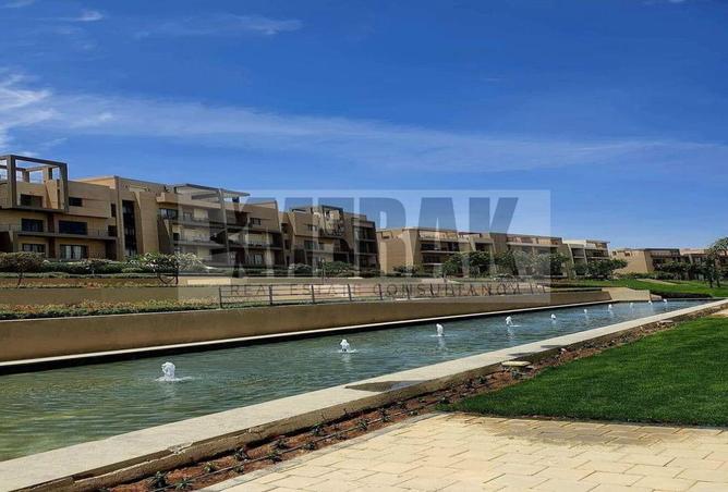 8462216 - Property Image 3