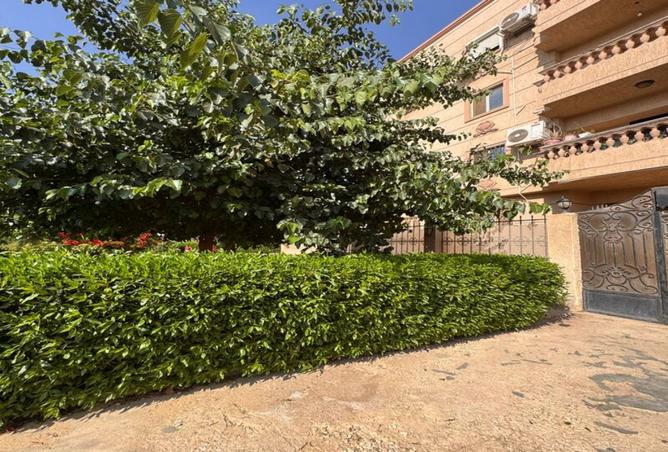 7477214 - Property Image 3