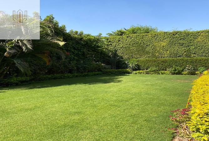 7426474 - صورة العقار 2