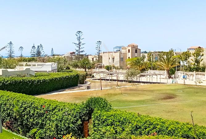 7433837 - صورة العقار 3