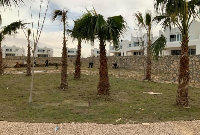 7429371 - صورة العقار 2