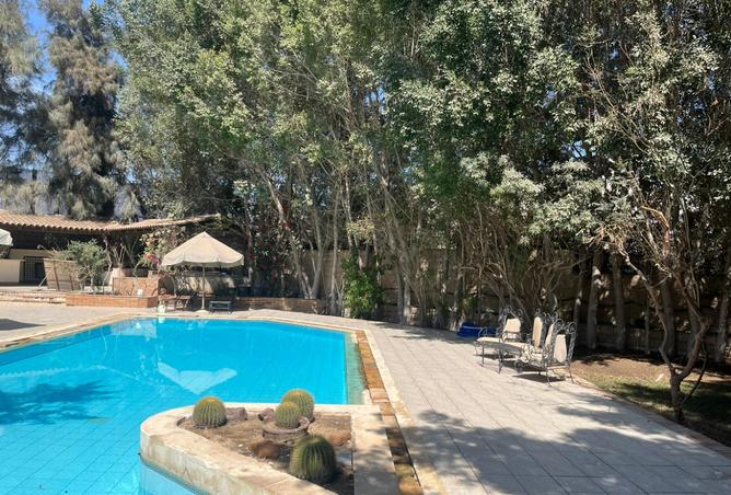 7431591 - صورة العقار 2