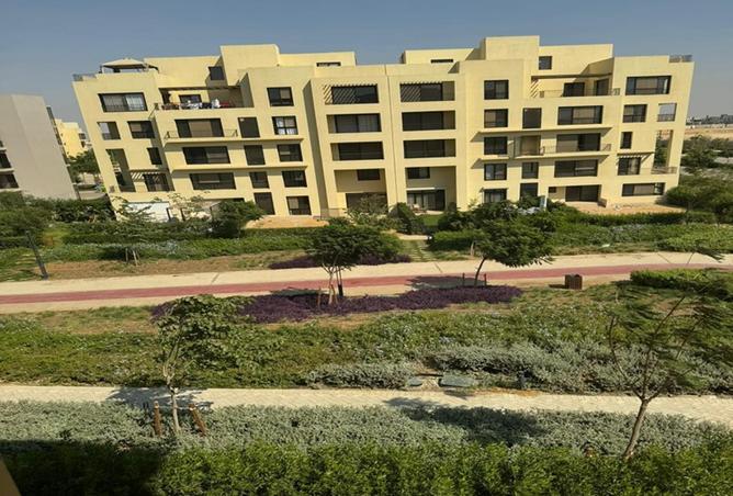 7431567 - صورة العقار 3