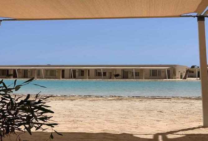 64900984 - Property Image 2