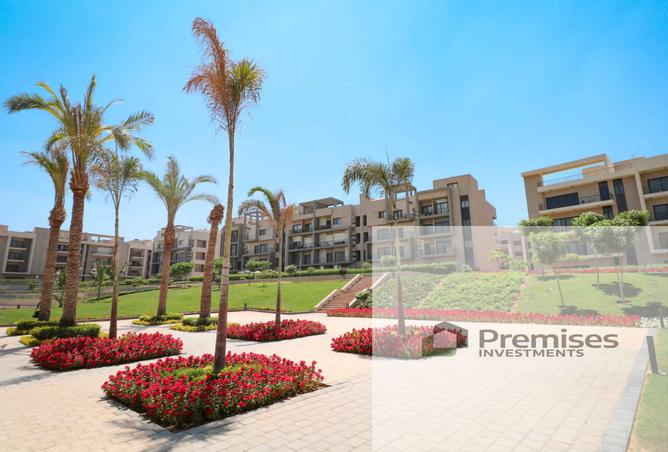 8208547 - صورة العقار 3