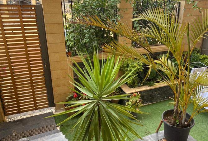 7442447 - Property Image 3