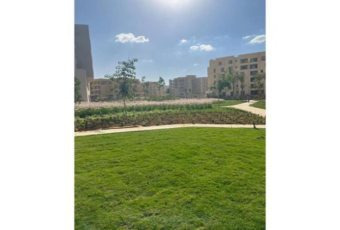 8262553 - Property Image 2