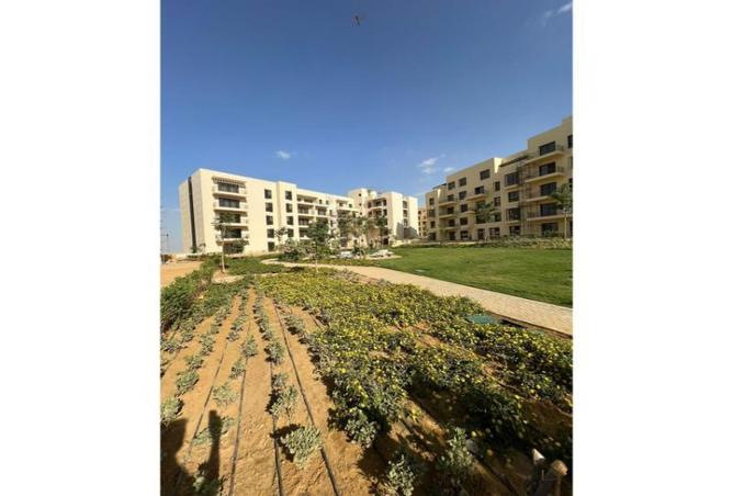 8262553 - Property Image 3