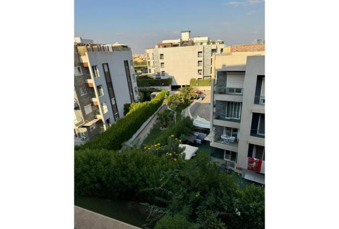 8340321 - صورة العقار 2