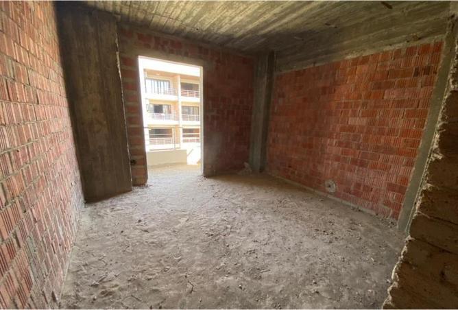 8178397 - Property Image 3