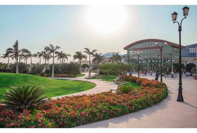 7919841 - صورة العقار 2