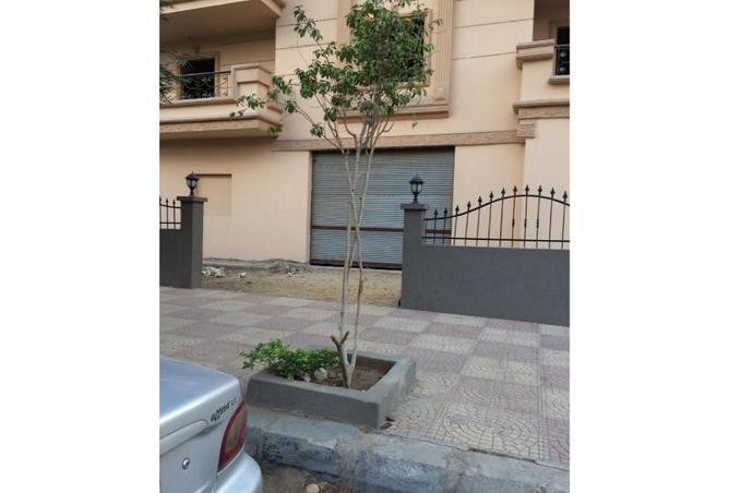 8316431 - صورة العقار 2