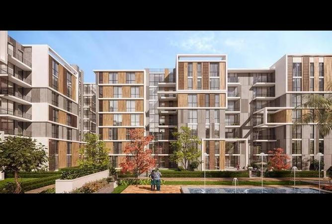 8335107 - Property Image 3