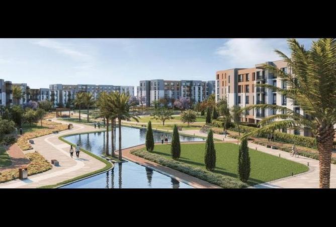 8335107 - Property Image 2