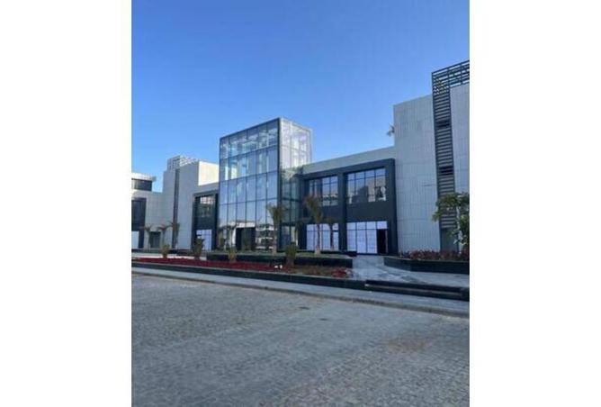 7912495 - صورة العقار 3