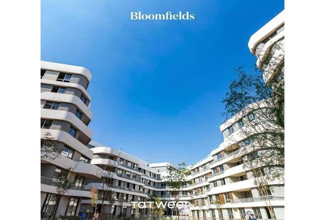 8283412 - Property Image 2