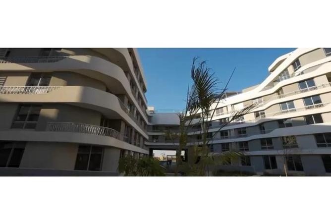 8283412 - Property Image 3