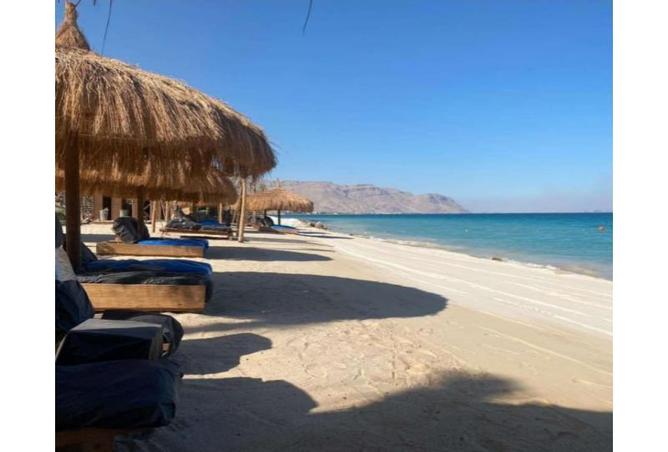 8254008 - Property Main Image